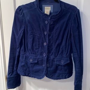 Cidra by Anthropologie